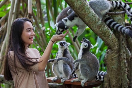 The Easiest Way To Trip To Bali