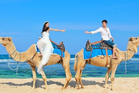 The Easiest Way To Trip To Bali