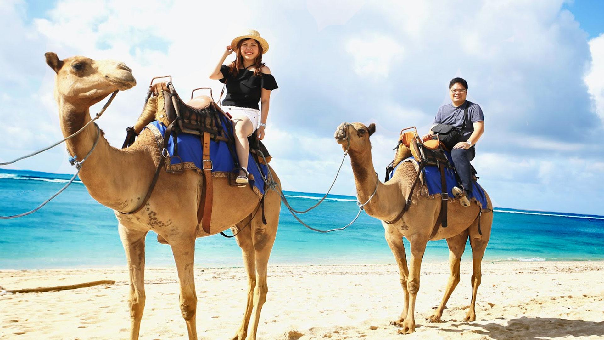 Camel Safari Ride