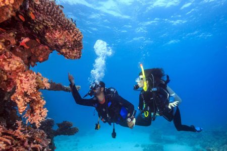 The Easiest Way To Trip To Bali