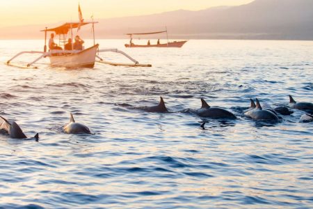 The Easiest Way To Trip To Bali