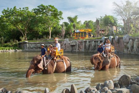 The Easiest Way To Trip To Bali