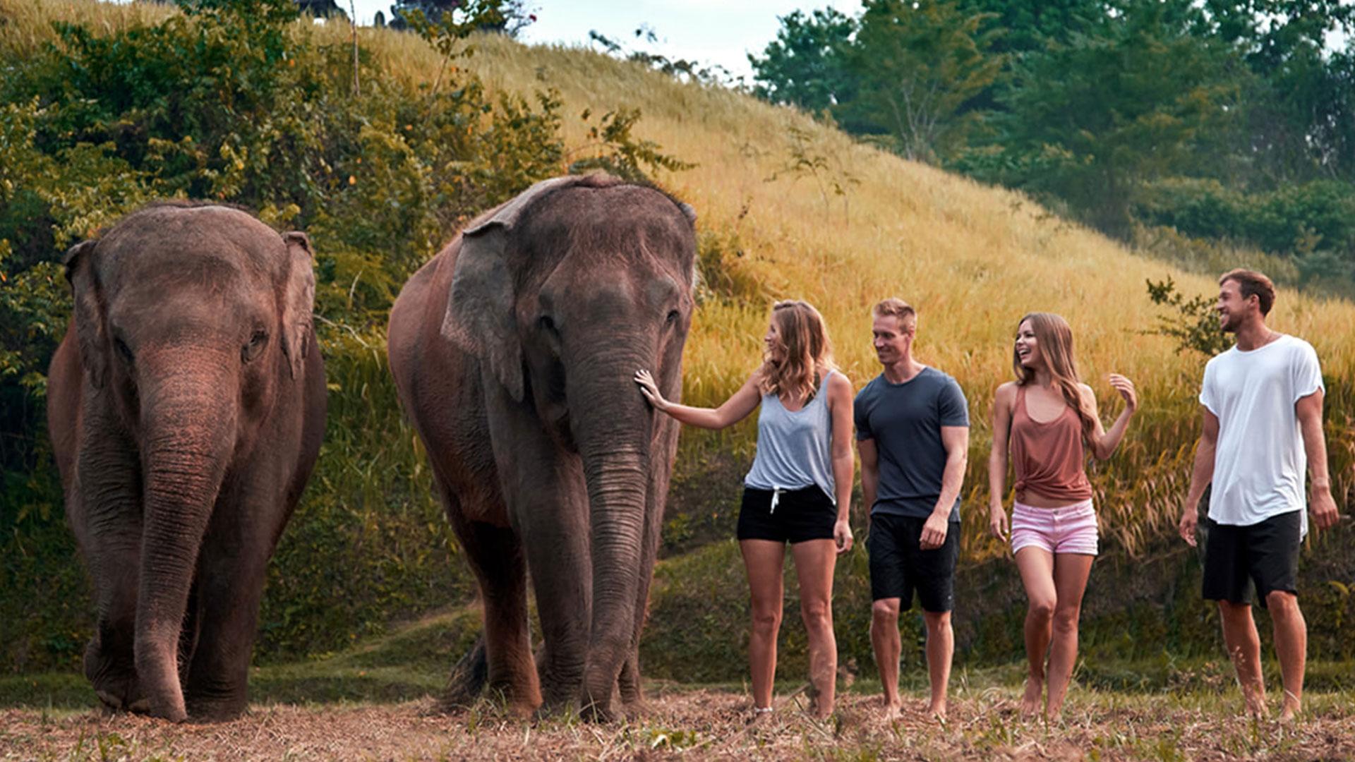 Elephant Expedition