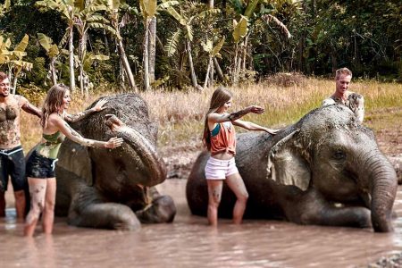 The Easiest Way To Trip To Bali