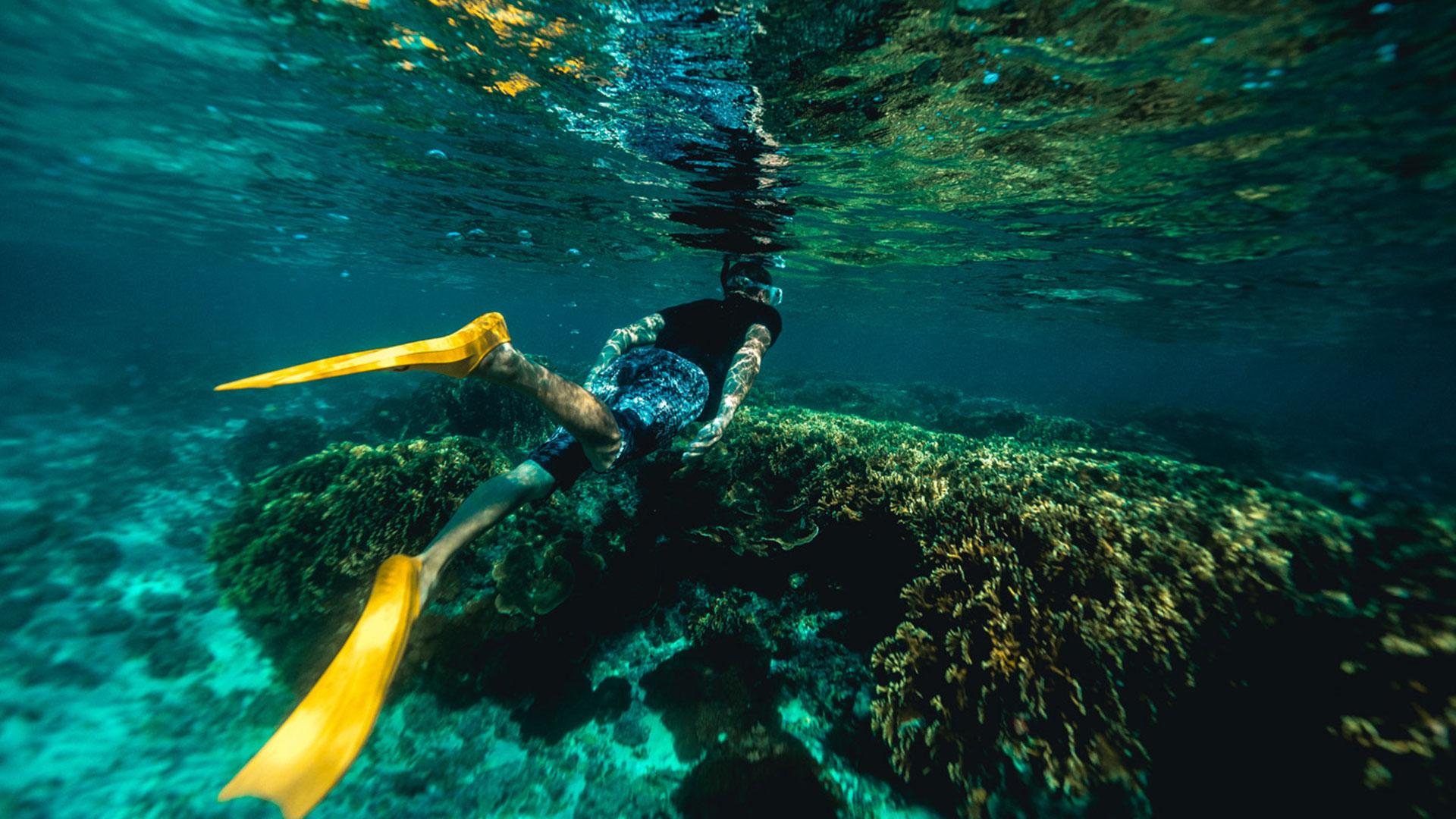 Sharing Package to Penida Island